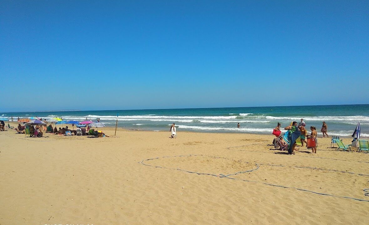 Photo of Others in Torrevieja
