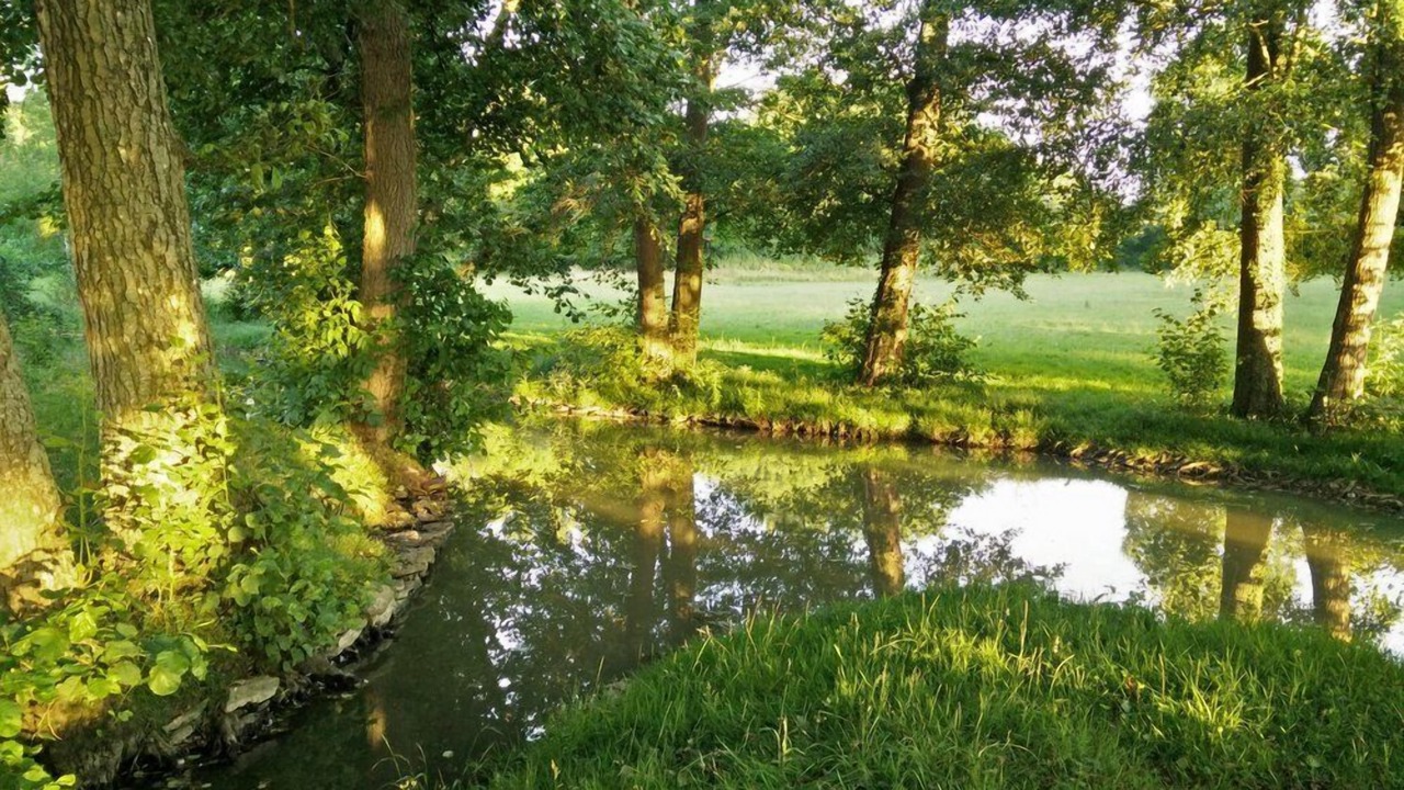 Photo of Others in Chevannes