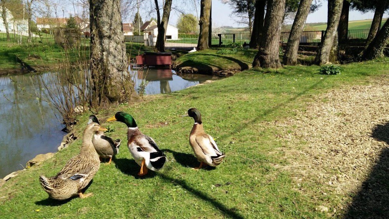 Photo of Outdoor in Chevannes