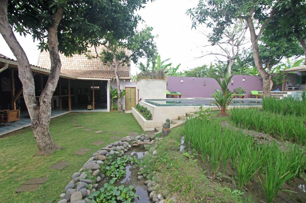 Photo of Outdoor in Padonan