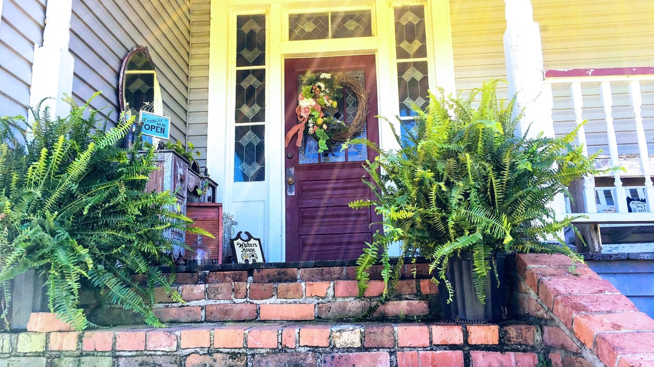 Photo of Outdoor in Harperville