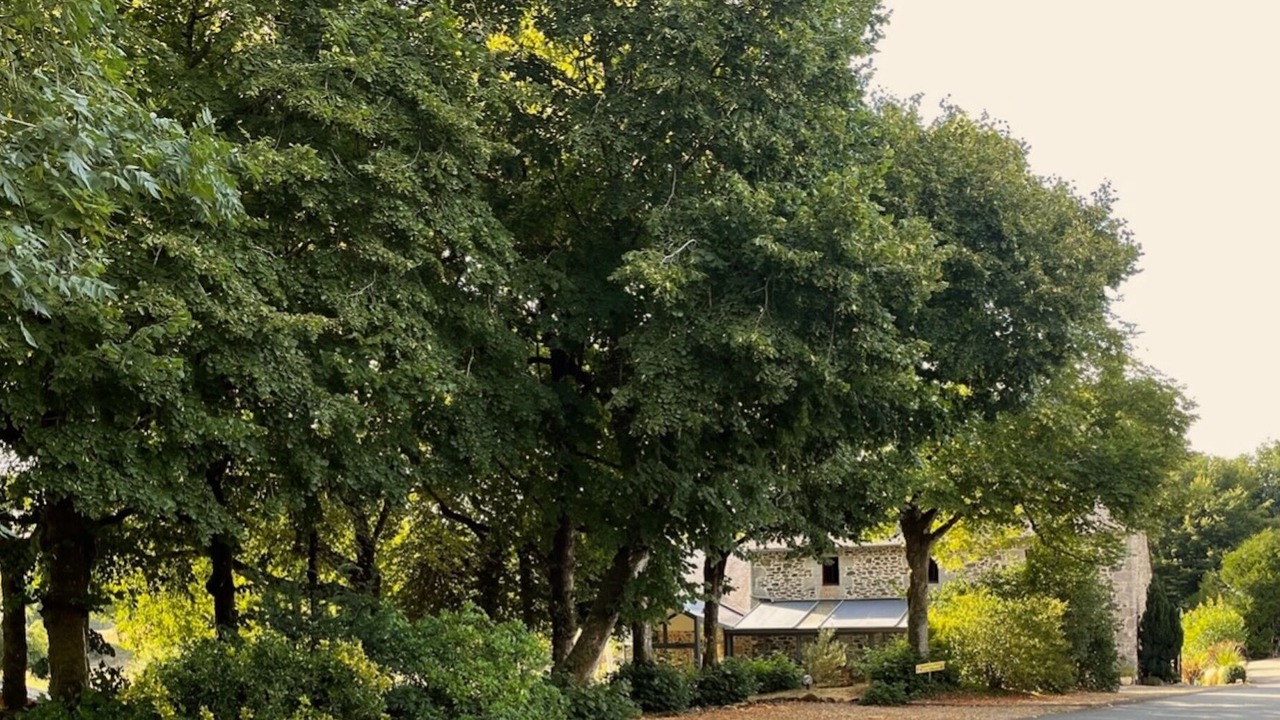 Photo of Others in Poullaouen