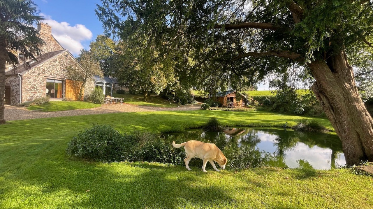 Photo of Bedroom in Poullaouen