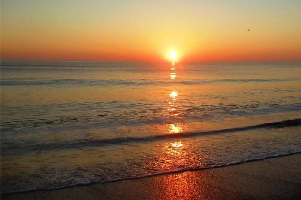 Photo of Others in American Beach