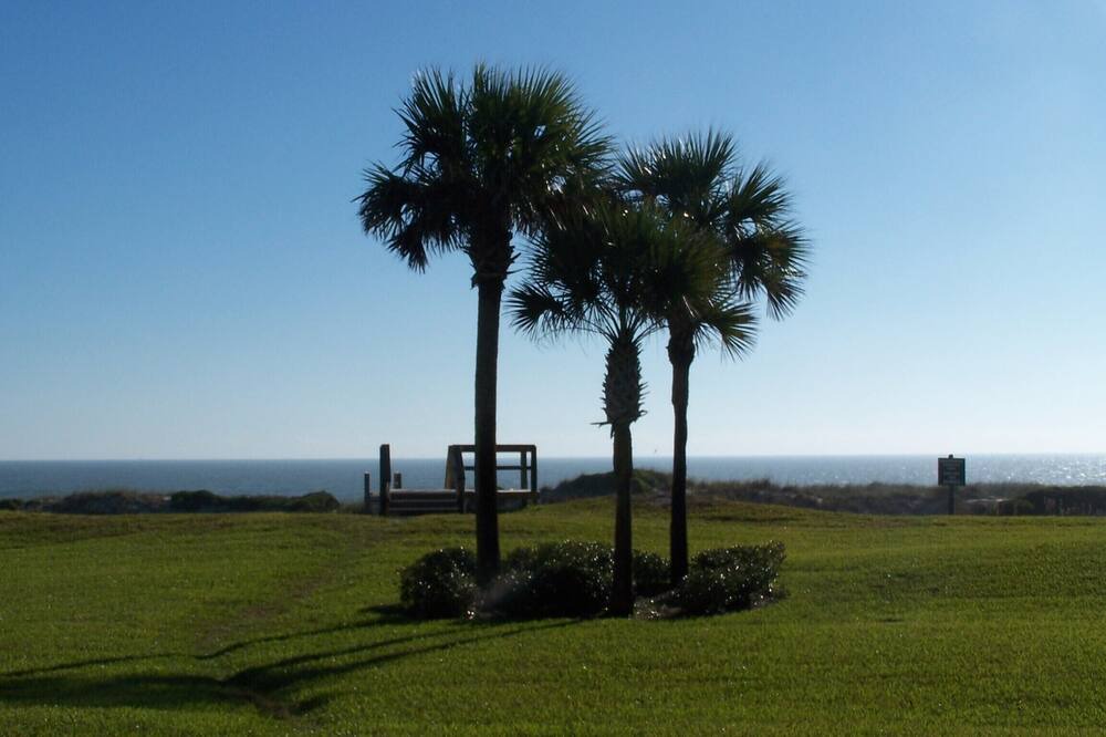 Photo of Others in American Beach
