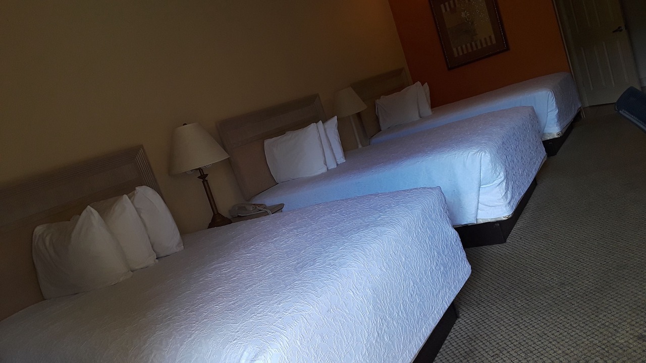 Photo of Bedroom in Zapata