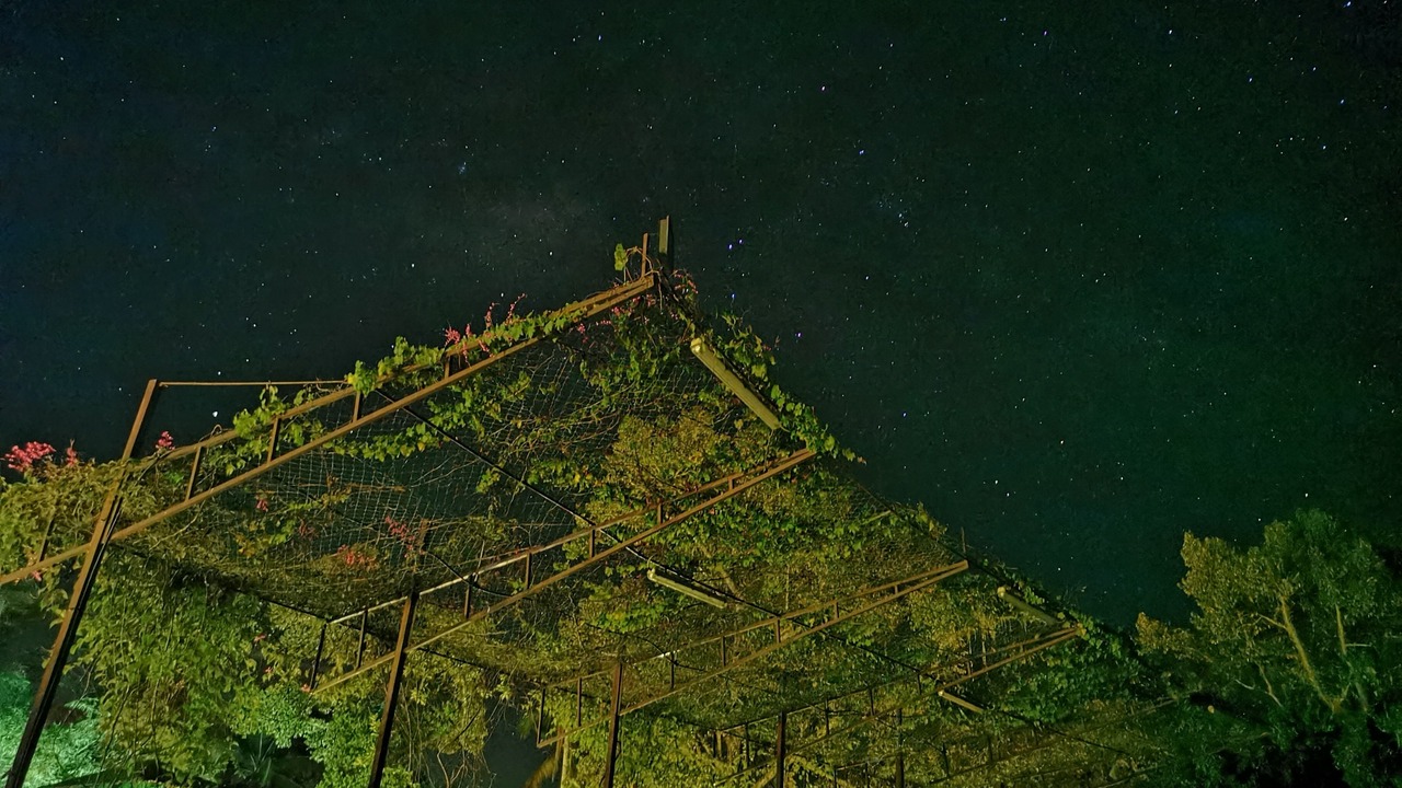 Photo of Outdoor in Sungai Lembing