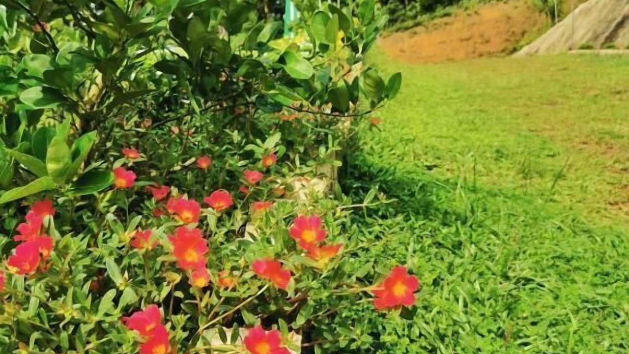 Photo of Outdoor in Sungai Lembing