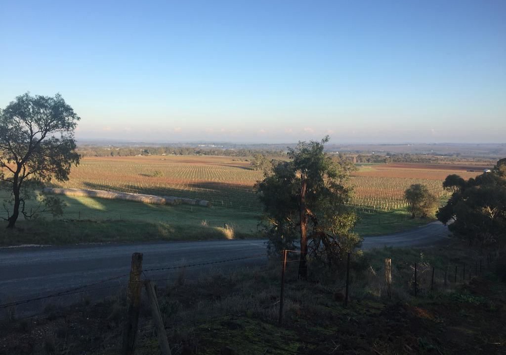 Photo of Others in Bethany