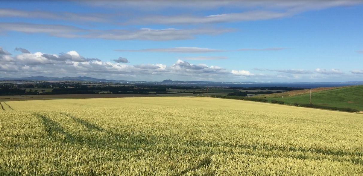 Photo of Others in MacMerry