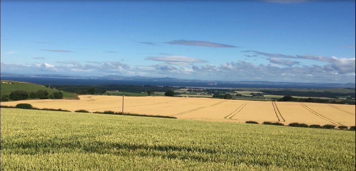 Photo of Others in MacMerry