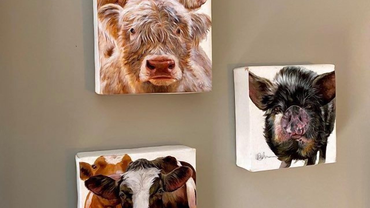 Photo of Others in Fintry