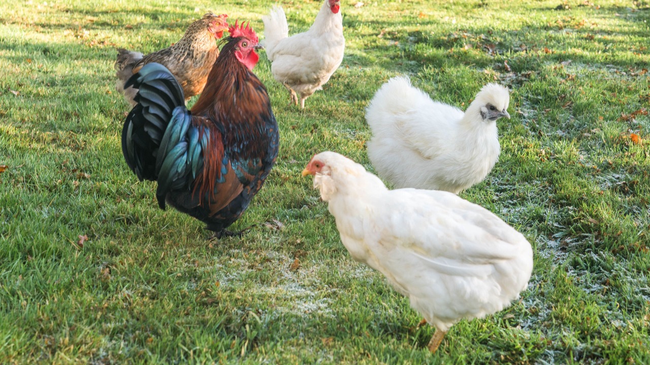 Photo of Others in Fintry