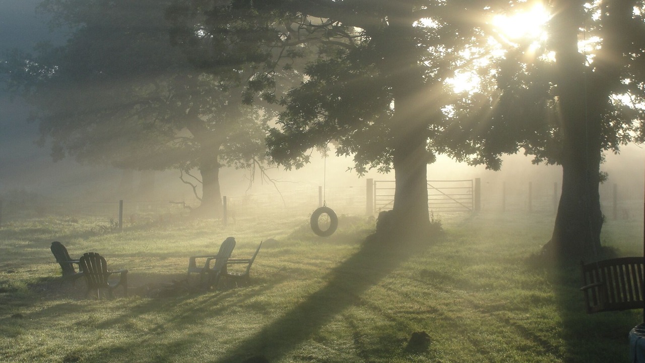 Photo of Others in Fintry