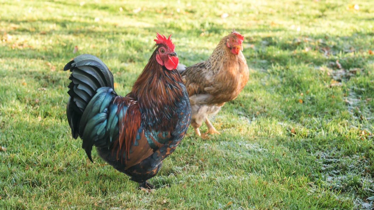 Photo of Others in Fintry