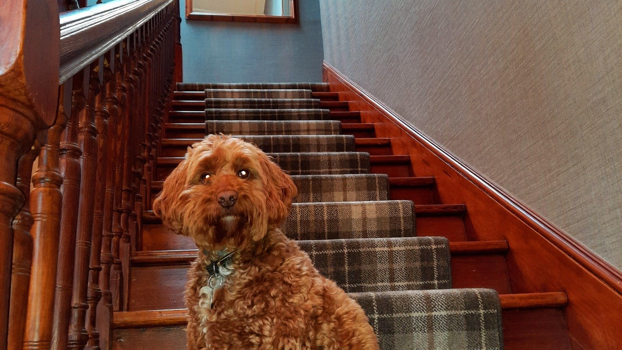 Photo of Others in Ballater