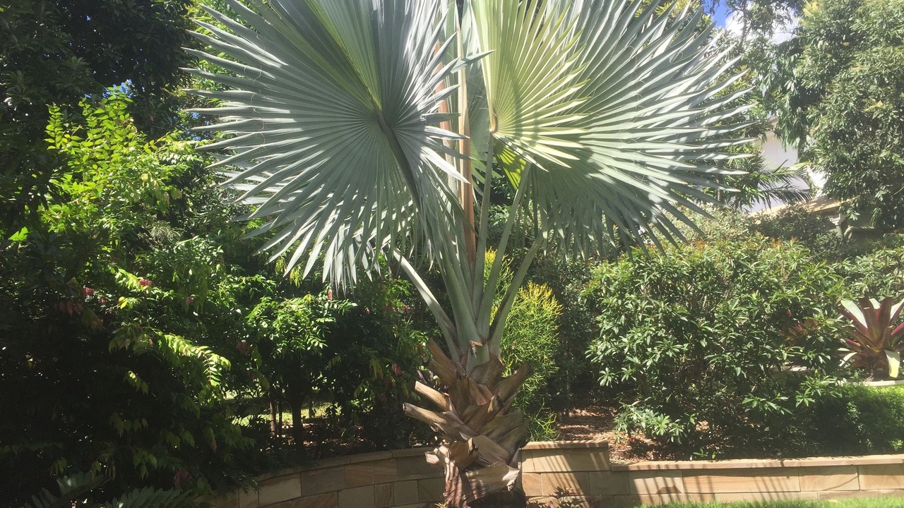 Photo of Outdoor in Balmoral