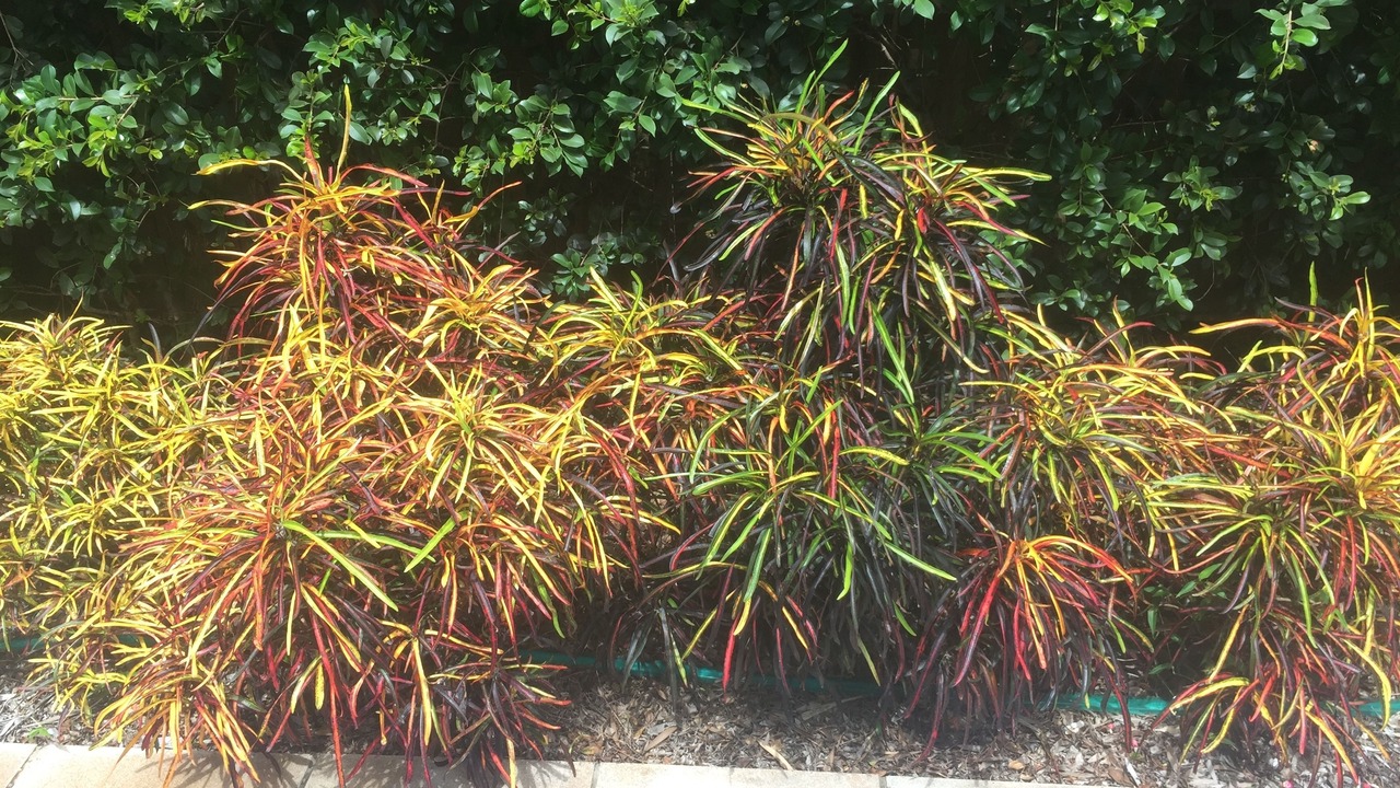 Photo of Outdoor in Balmoral