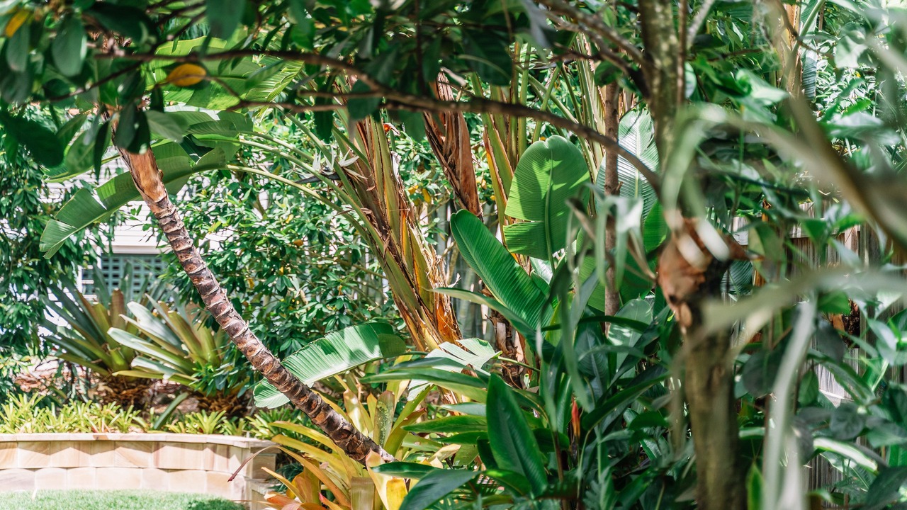 Photo of Outdoor in Balmoral