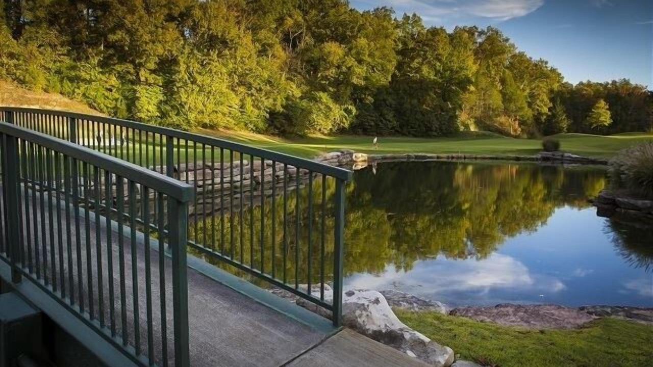 Photo of Others in Branson West