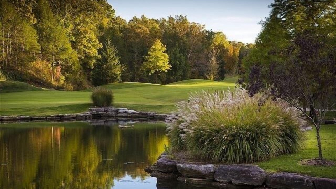 Photo of Others in Branson West