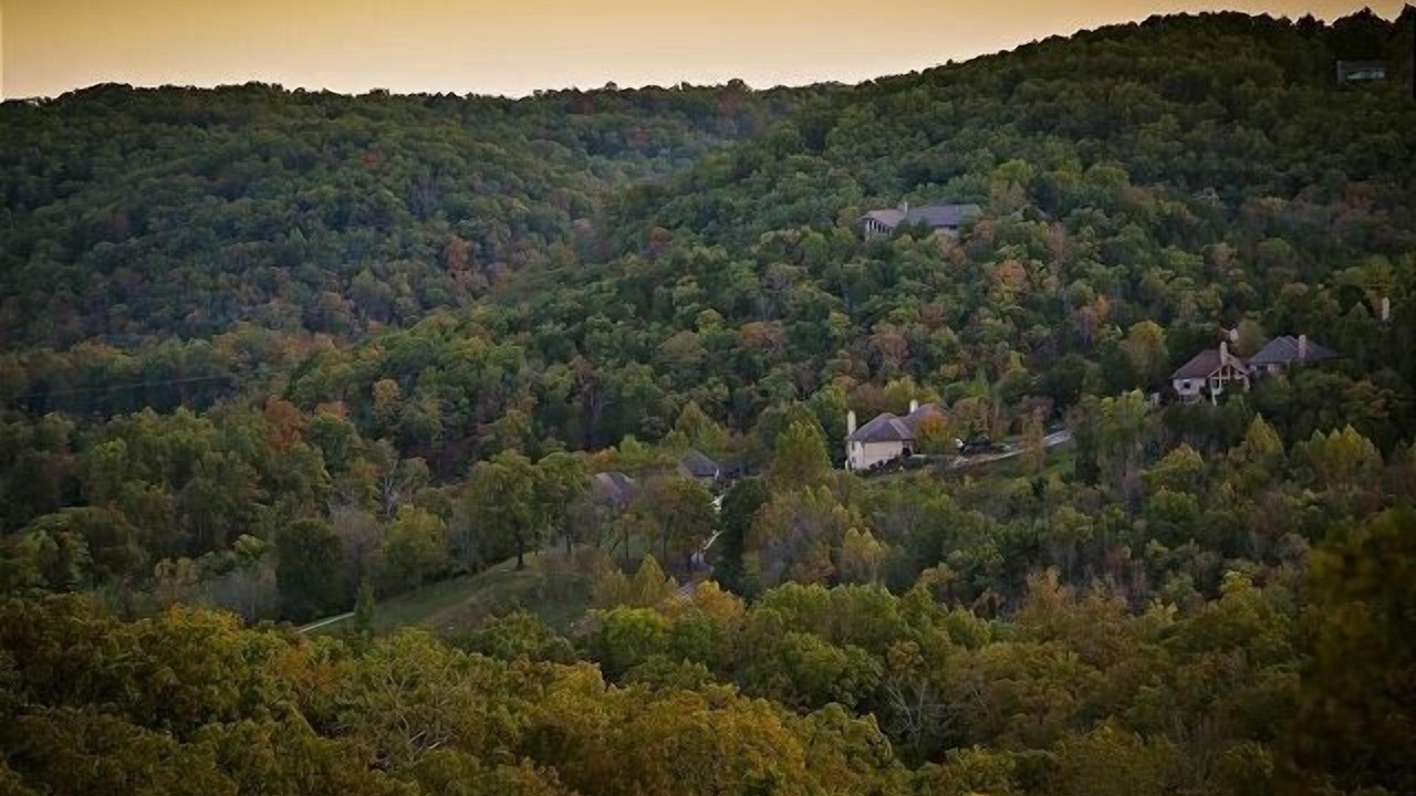 Photo of Others in Branson West