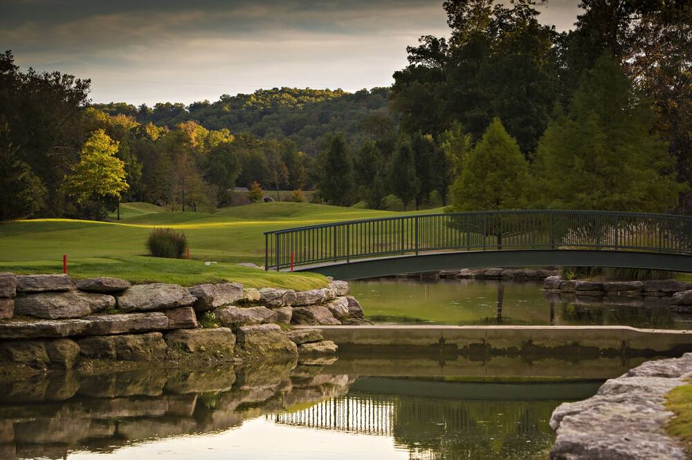 Photo of Outdoor in Branson West