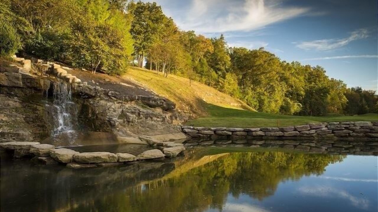 Photo of Others in Branson West