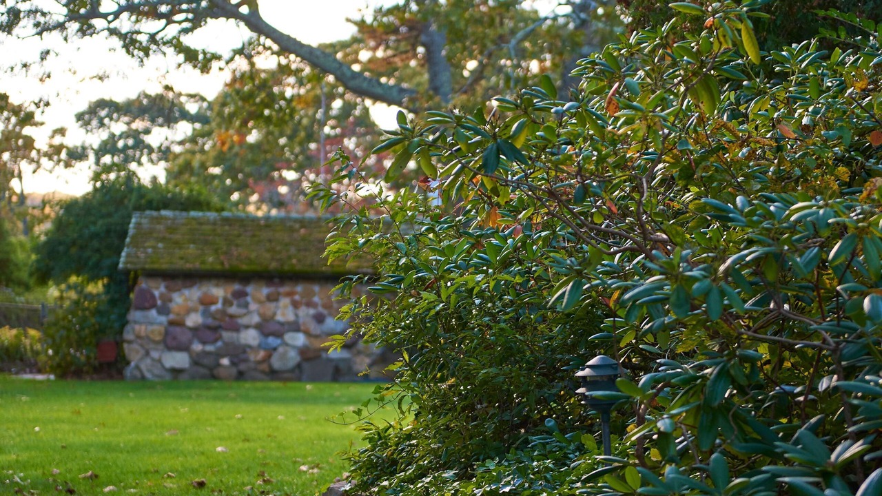 Photo of Outdoor in Hampton Bays