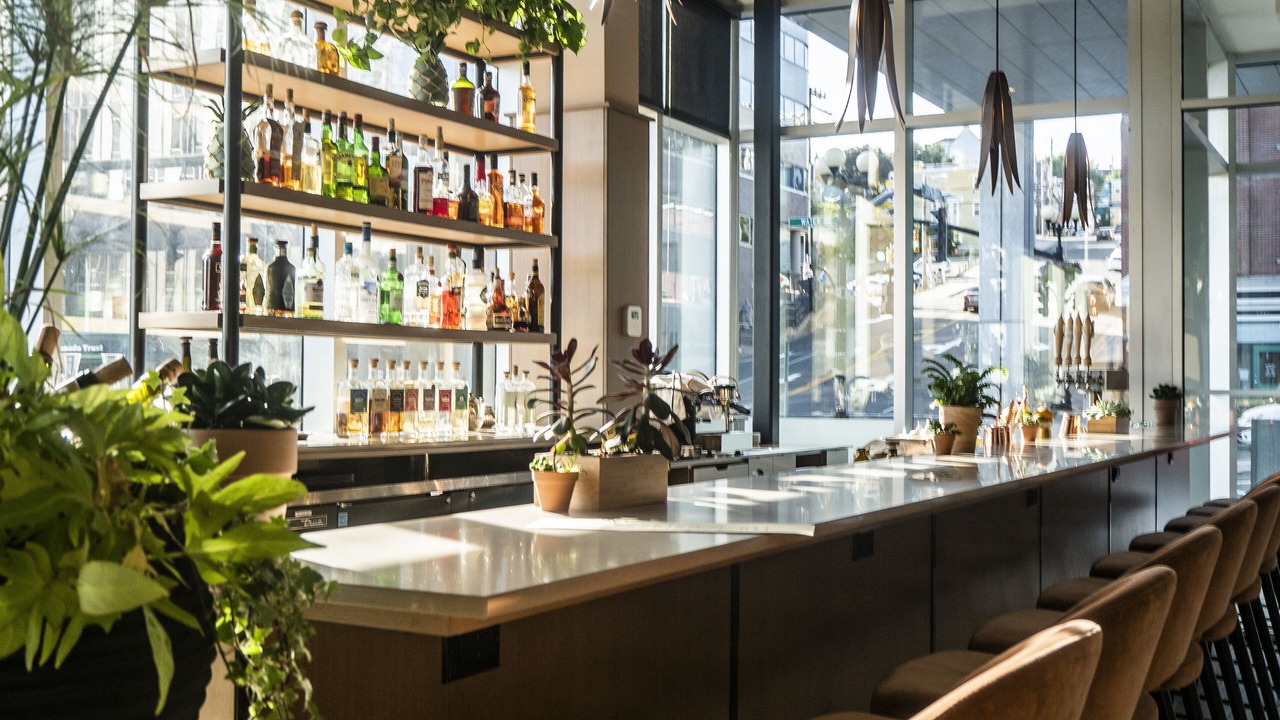 Photo of Others in Downtown St. John's