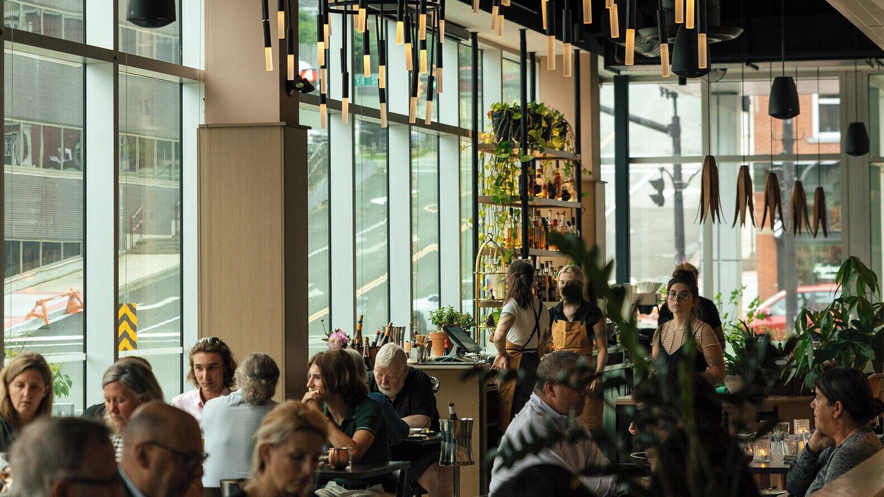 Photo of Others in Downtown St. John's