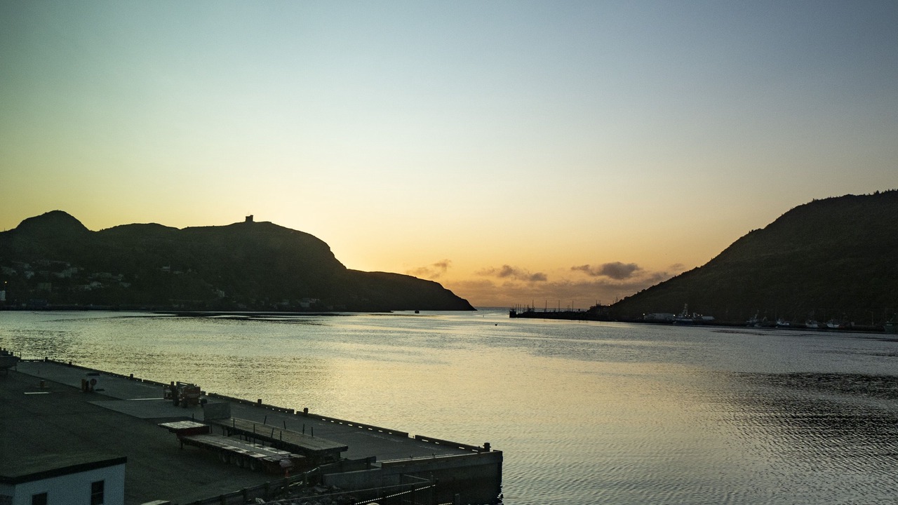 Photo of Others in Downtown St. John's