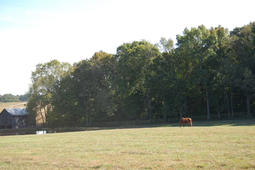 Photo of Outdoor in Springfield