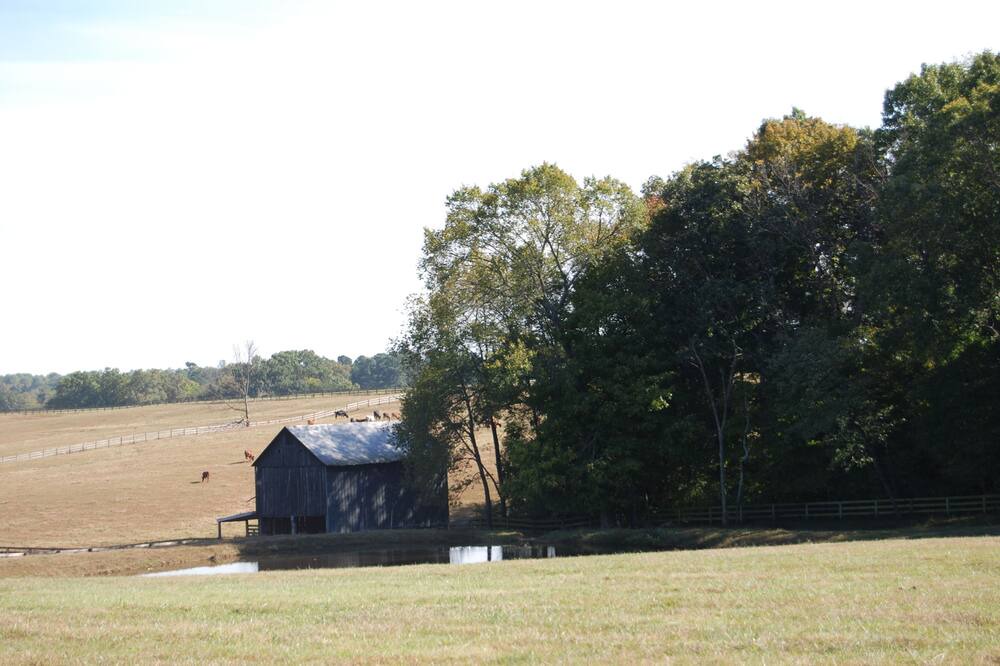 Photo of Outdoor in Springfield