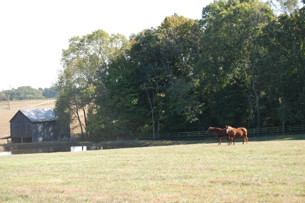 Photo of Outdoor in Springfield