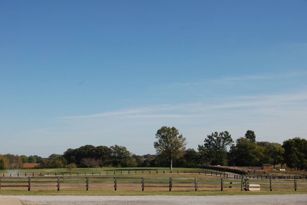 Photo of Outdoor in Springfield