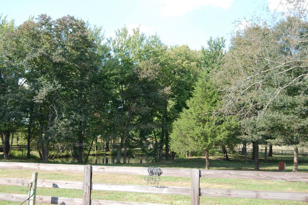 Photo of Outdoor in Springfield