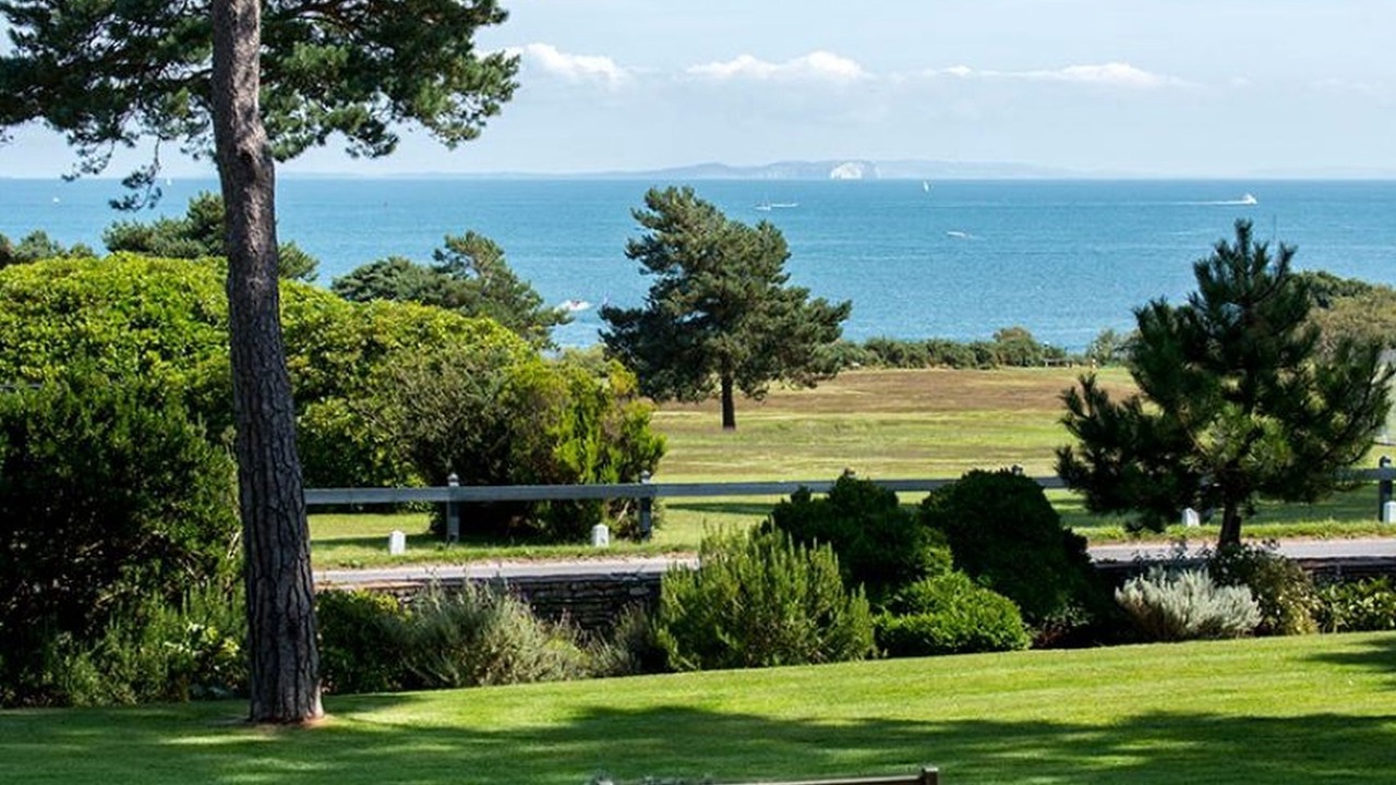 Photo of Others in Studland