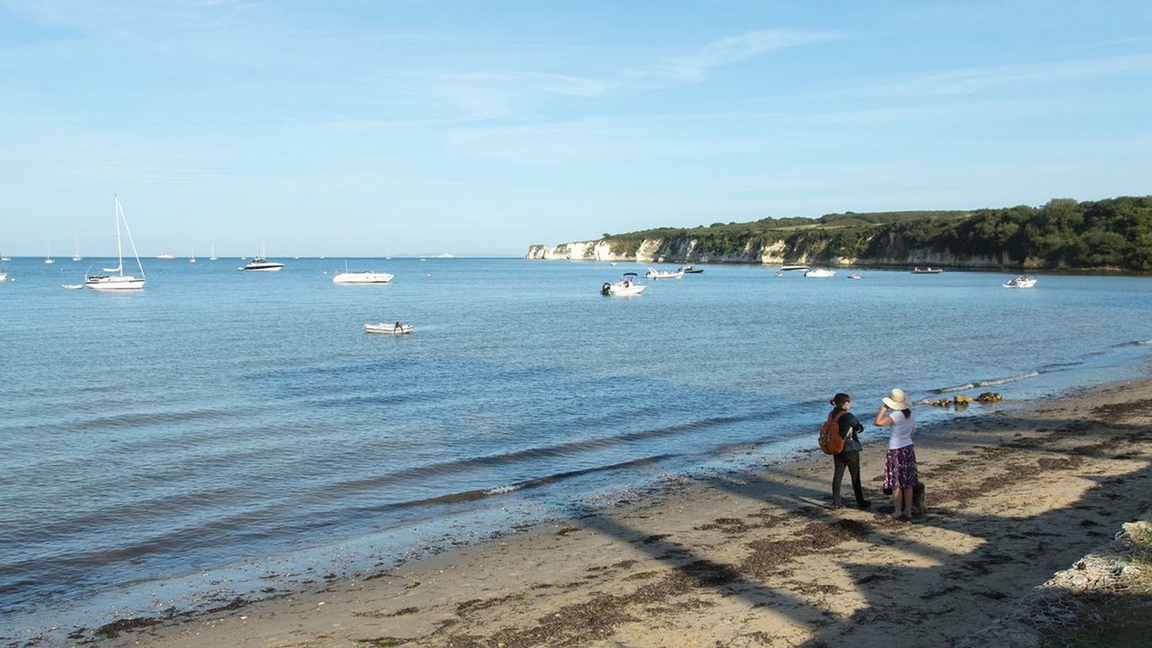 Photo of Others in Studland