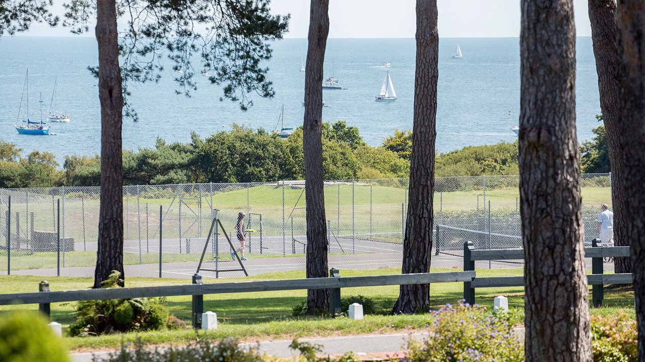 Photo of Others in Studland