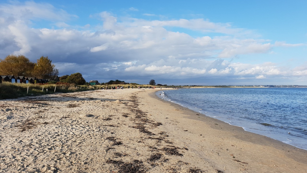 Photo of Others in Studland