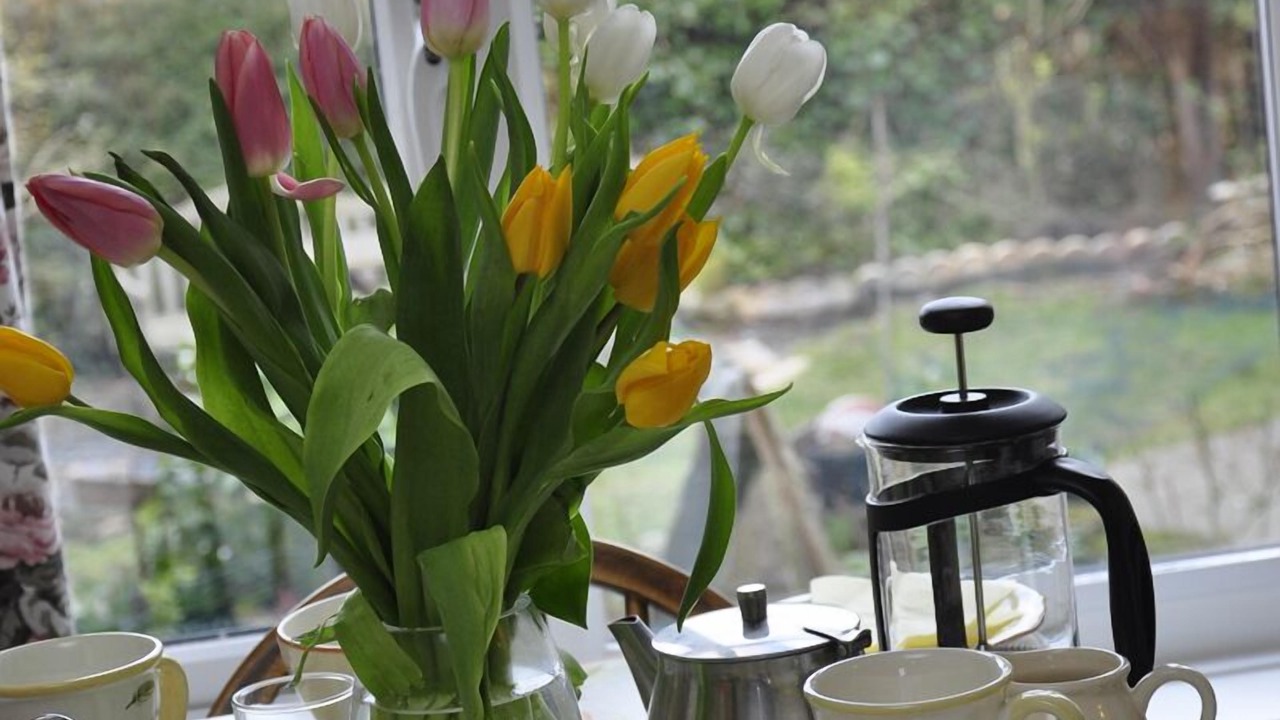 Photo of Others in Aislaby