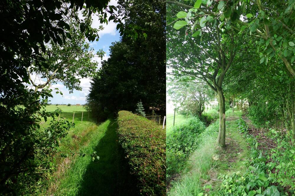 Photo of Outdoor in Tilney Fen End