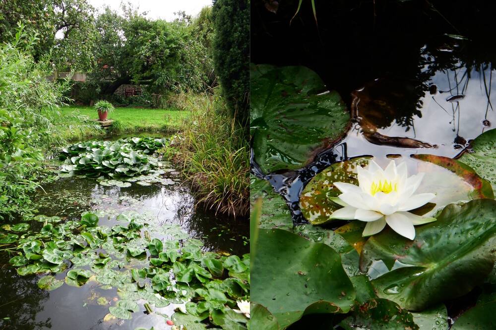 Photo of Outdoor in Tilney Fen End