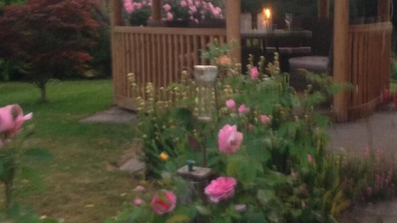 Photo of Outdoor in Pembridge