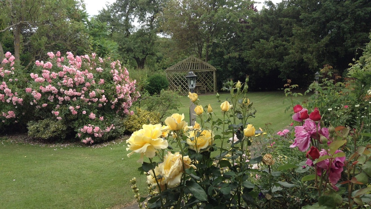 Photo of Outdoor in Pembridge