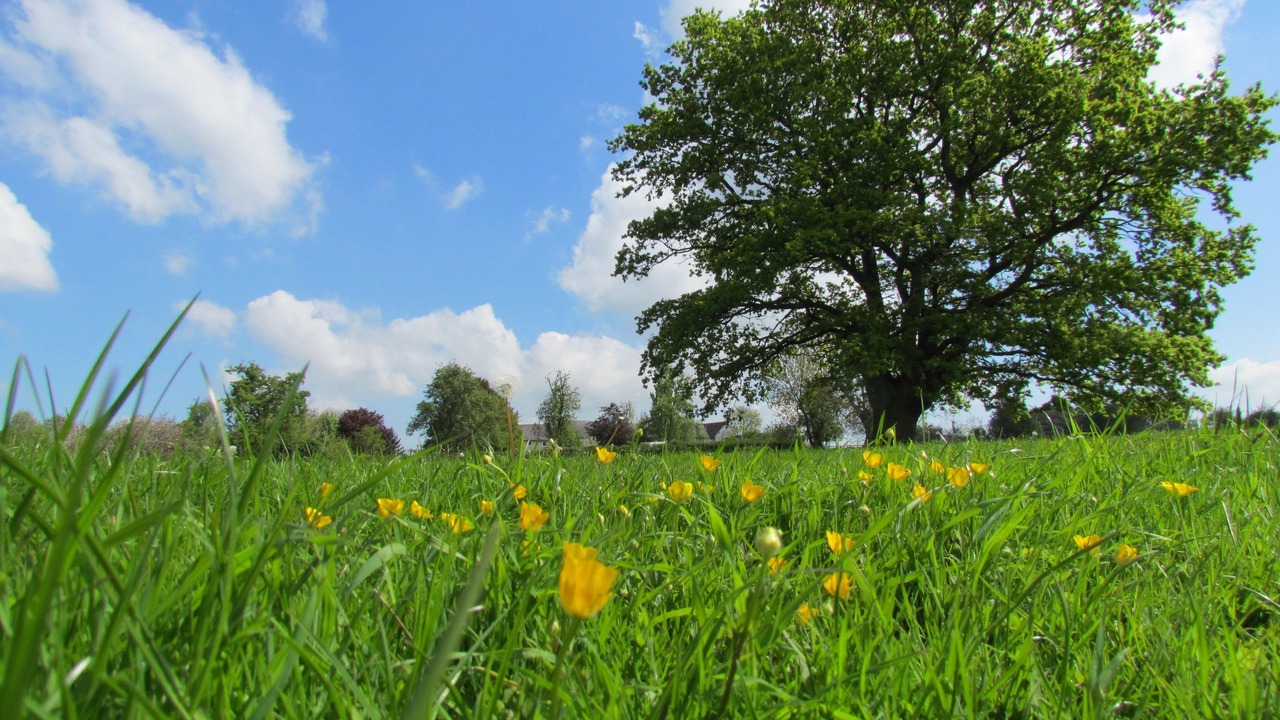 Photo of Outdoor in Pembridge