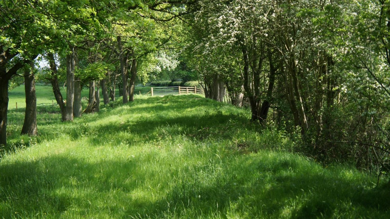 Photo of Outdoor in Pembridge