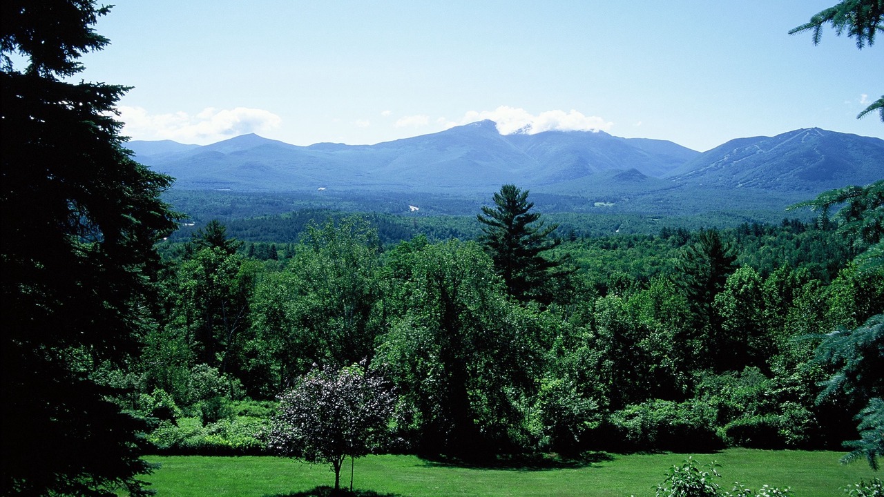 Photo of Others in Sugar Hill