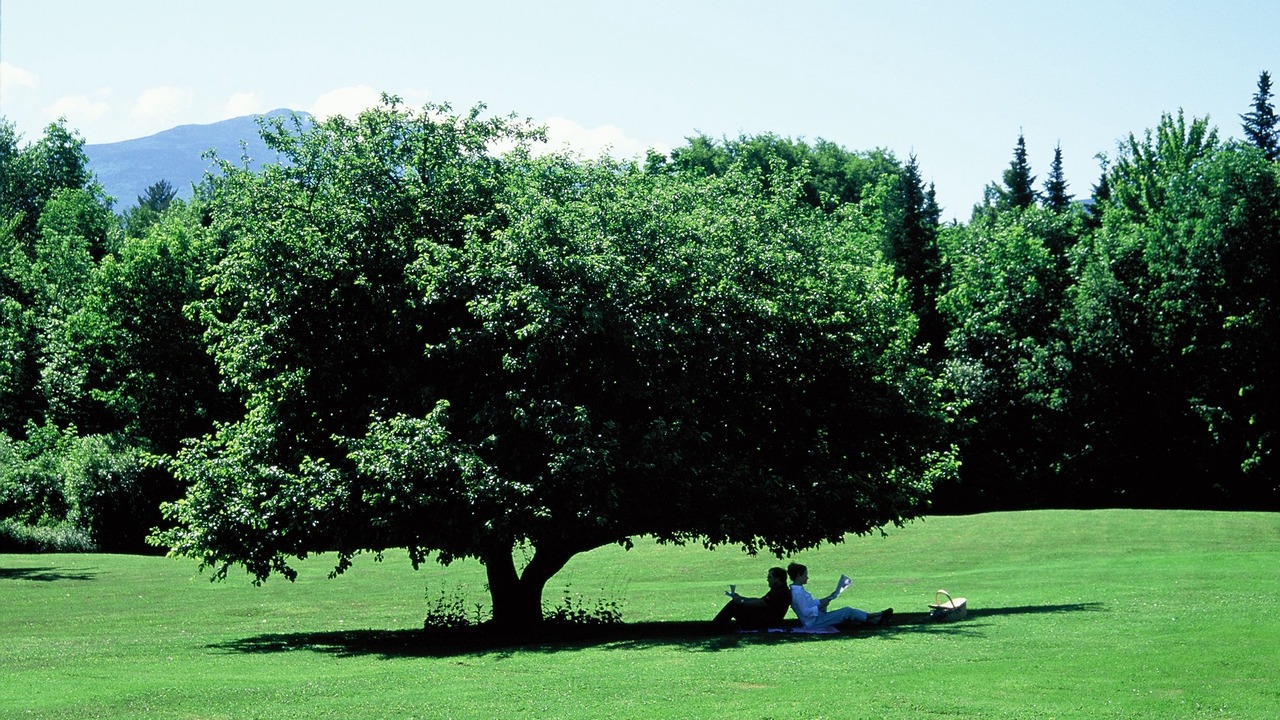 Photo of Others in Sugar Hill